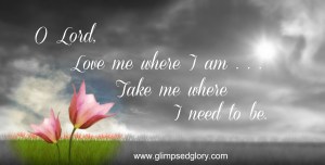 creation swap love me one flower 206081_Flower_Background