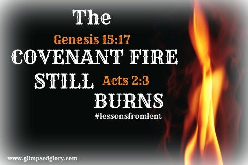 creation swap covenant fire 9491_Fire ribbet