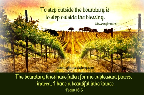 CREATIon SWAP FREE vineyard Matt Gruber 5883