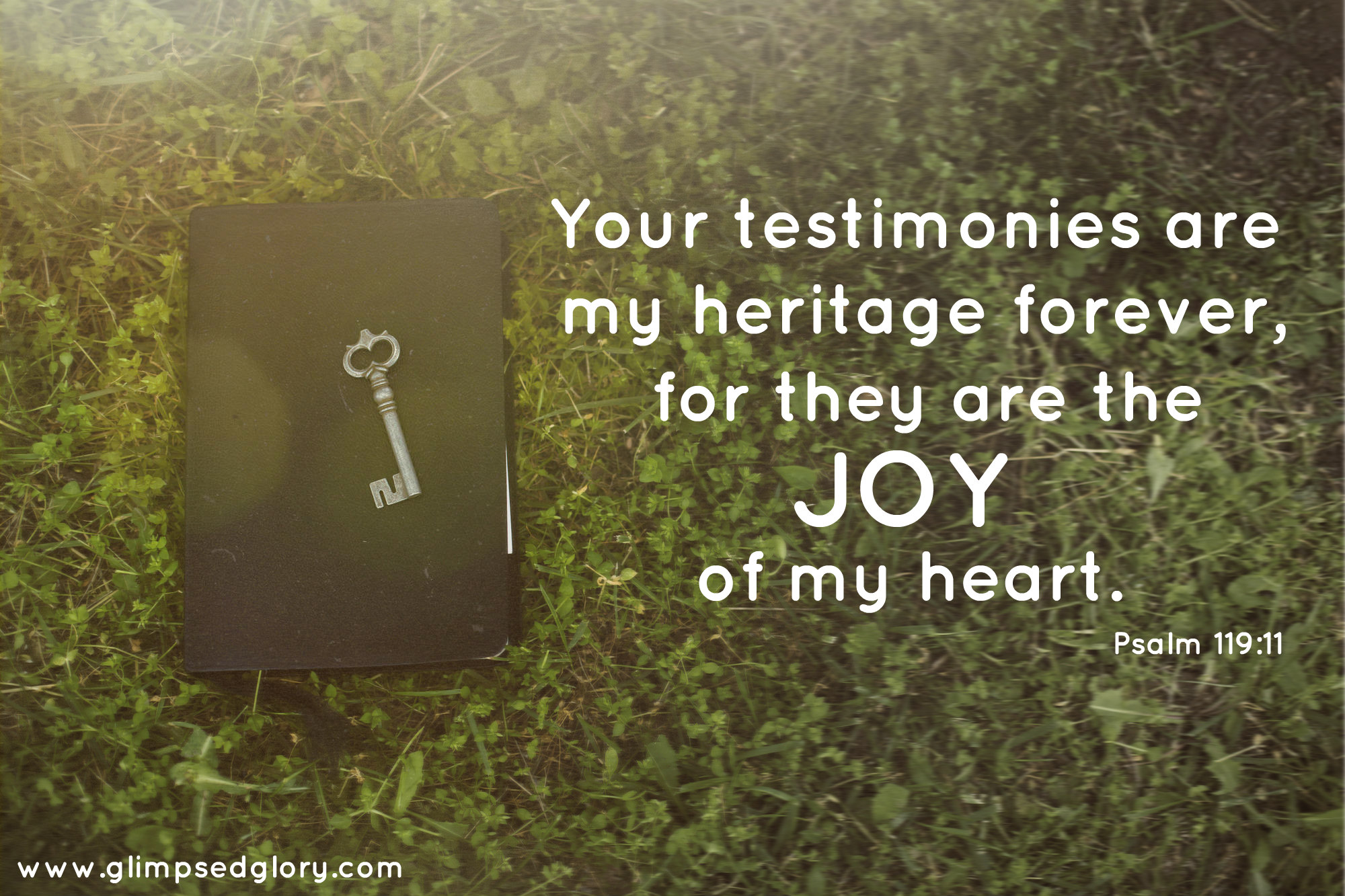 creation swap 31468_Book_&_Key ribbet