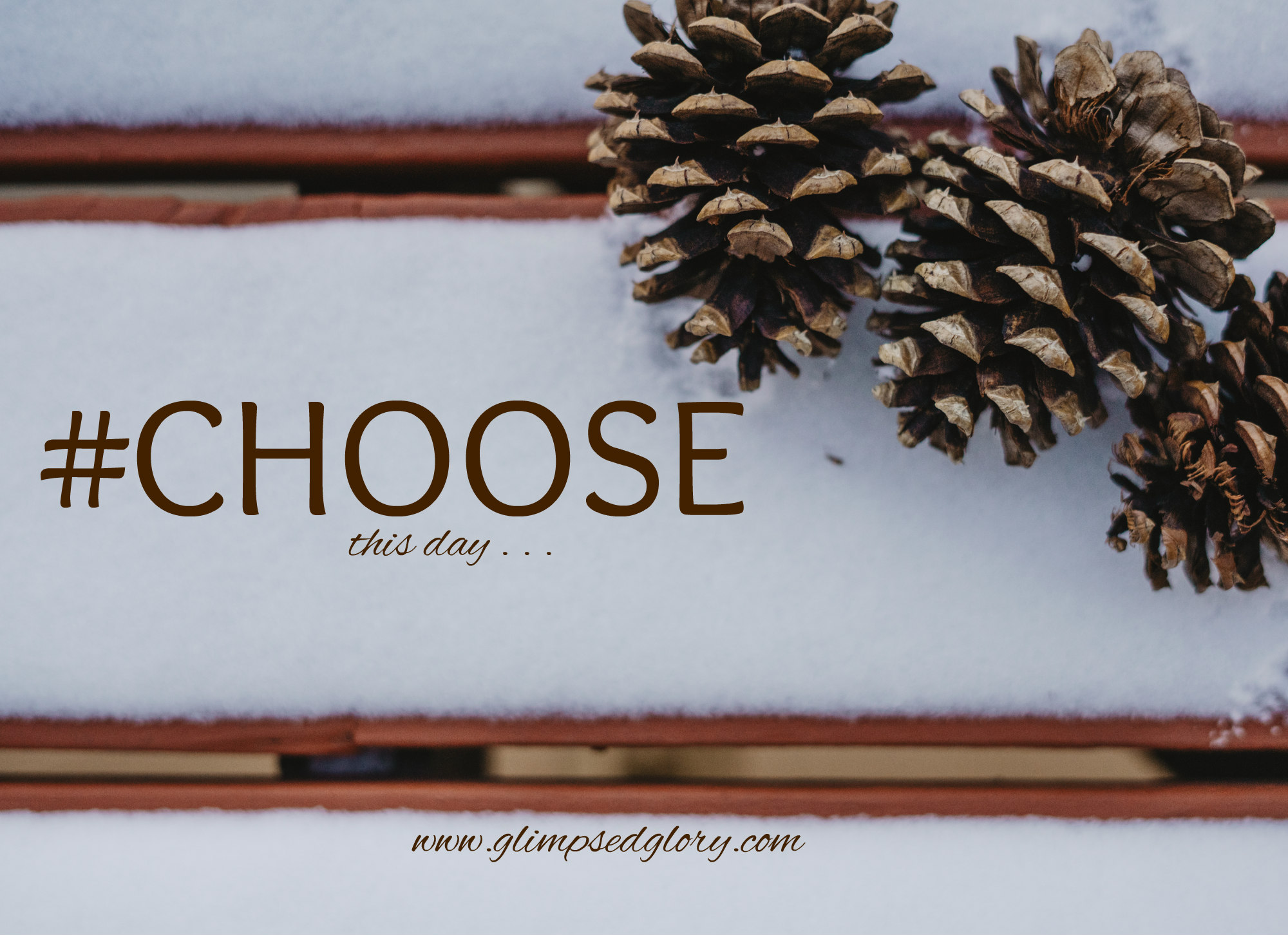 choose 74532_pinecones_in_snow